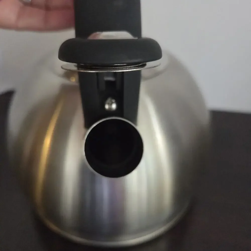 Brandani Brillo Stainless Steel Whistling Tea Kettle 2.7L Induction & Stovetop